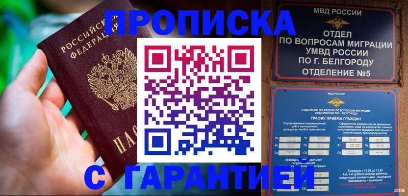 прописка для работы в Мытищах